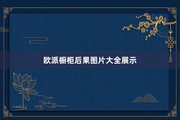 欧派橱柜后果图片大全展示