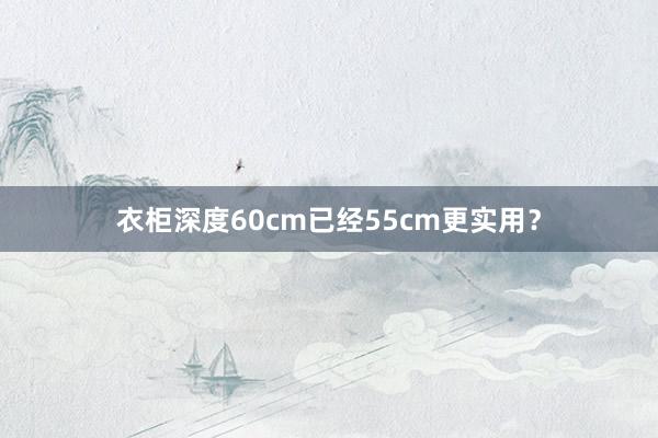 衣柜深度60cm已经55cm更实用？