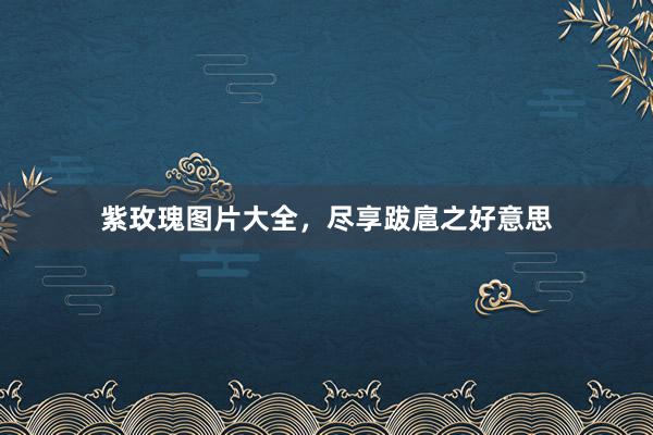 紫玫瑰图片大全，尽享跋扈之好意思